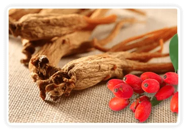 CitrusBurn Berberine Korean Red Ginseng